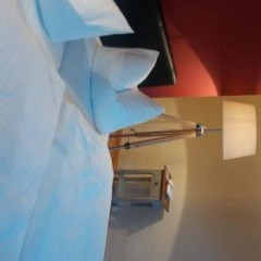 Dreibeiniger Hund Hotel  Gasthof - Bild 3