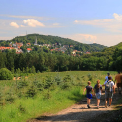 Bildungs- und Tagungshaus Haus Neuland - Bild 10
