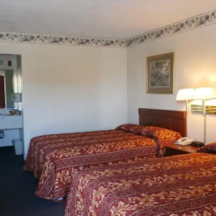 Hampton Bay Plaza & Suite thumbnail 2