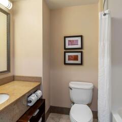 Comfort Suites Leesburg in Leesburg, United States of America from 150$, photos, reviews - zenhotels.com photo 26