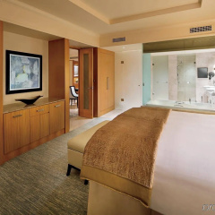 The Ritz-Carlton, Dubai International Financial Centre Hotel thumbnail 28