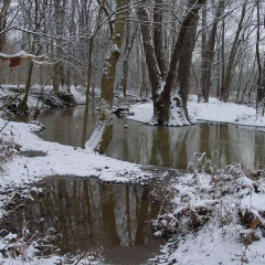 The Olentangy Inn thumbnail 12