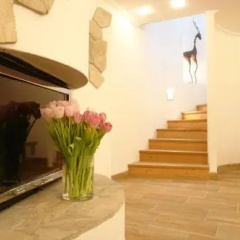 Hahnenkamm Chalet Kitzbühel thumbnail 13