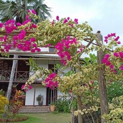 Domaine Desaubin Luxury Villas in Mahe Island, Seychelles from 148$, photos, reviews - zenhotels.com photo 4