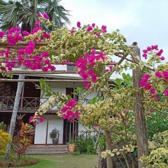 Domaine Desaubin Luxury Villas in Mahe Island, Seychelles from 160$, photos, reviews - zenhotels.com photo 4