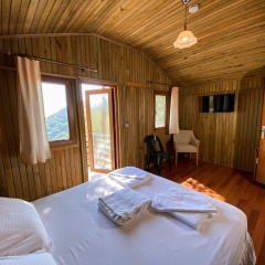 Tree Houses - Bild 5