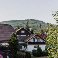 Hexe I - mit Blick auf den Wurmberg thumbnail 17