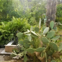 GUESTHOUSE ON ADLEIBA 75 photo 4