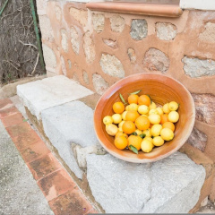 Can Raia in S Ller With 4 Bedrooms and 2 Bathrooms - Bild 10
