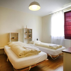 Ringeltaube - Bild 6