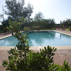 Kasbah Aâlma d'Or - Bild 20