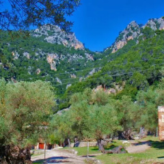 Finca Biniforani Nou - Bild 5