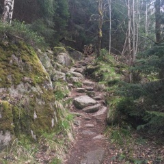 Blockhaus an der Skiwiese Braunlage - Bild 4