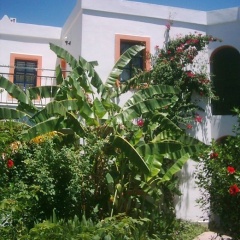 Hadi Apart Hotel - Bild 6