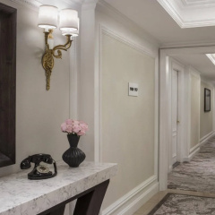 The Ritz-Carlton New York, Central Park thumbnail 18