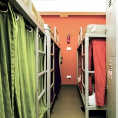 Checkers Backpackers - Bild 14