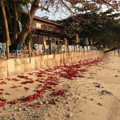 The Barat Perhentian Beach Resort thumbnail 22