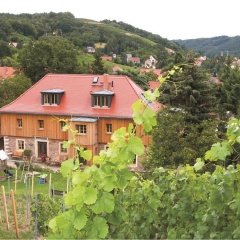 Weingut Mariaberg - Bild 10