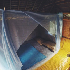 The Banana Cabins thumbnail 7