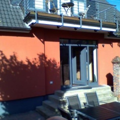 Roter Seestern - Bild 3