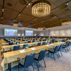Radisson Blu Senator Hotel - Bild 11