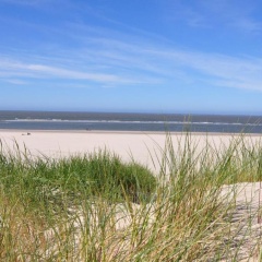 Seevilla Wietjes Whg 6 - Bild 8