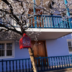 Tetriani Guesthouse thumbnail 43