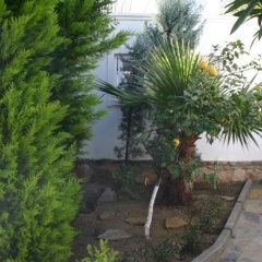 Luxury Villa Tilev - Bild 1