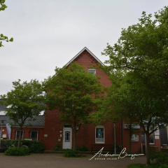 Haus-Herrmann-1 - Bild 1