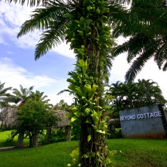 Beyond Krabi - Bild 28