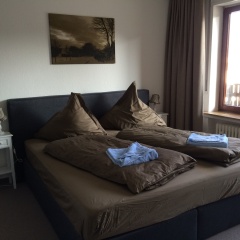 Harmonie Hotel Rust - Bild 3