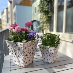 Pension22 - Bild 14