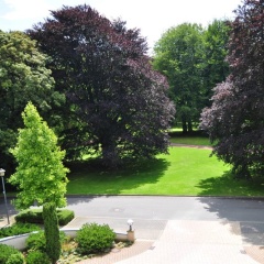 Courtyard By Marriott Bochum Stadtpark - Bild 11