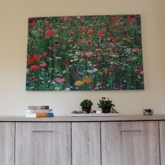 Peaceful Apartment in Wismar near Beach - Bild 2