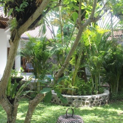 Balisanti Bungalows - Bild 26