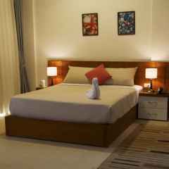 Elaria - Bild 5