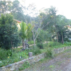 Teretre Cabins Nimbin thumbnail 10