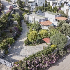 Villa Olivia - Bild 14