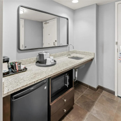 Hampton Inn & Suites Camp Springs/Andrews AFB thumbnail 42