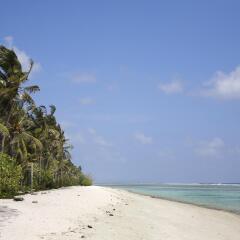 Dream Relax Inn in North Male Atoll, Maldives from 104$, photos, reviews - zenhotels.com photo 21