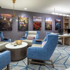 Hilton Garden Inn Albuquerque Downtown in Albuquerque, United States of America from 170$, photos, reviews - zenhotels.com photo 29