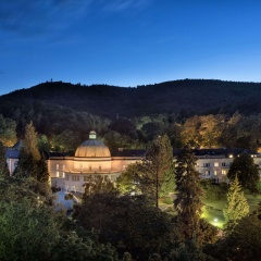 Maritim Hotel Bad Wildungen - Bild 22