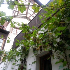 Hotel Toscana - Bild 1