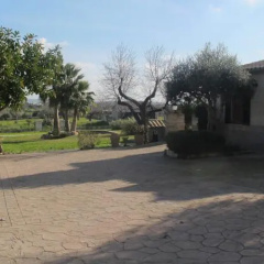 Son Gil - Bild 5