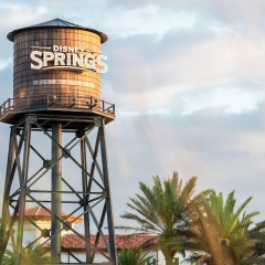 Wyndham Garden Lake Buena Vista – Disney Springs® Area thumbnail 49