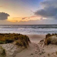 Strandkrone - Bild 10