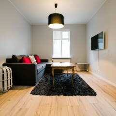 Baldur Apartments in Reykjavik, Iceland from 371$, photos, reviews - zenhotels.com photo 3