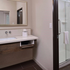 Hampton Inn & Suites Dallas Market Center thumbnail 9