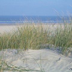 Klabautermann Maywald - Bild 9