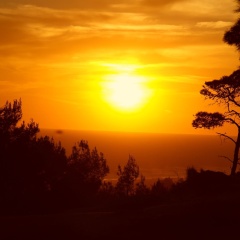 Cirali Sunrise Pansiyon - Bild 8
